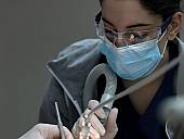 Impressionen Zahnarztpraxis Olsen